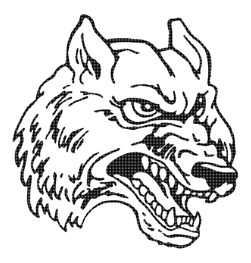 2023 South Central Timberwolves Football Team Kansas High School