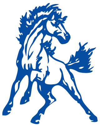 2022 FL Schlagle Stallions Volleyball Team | Kansas High School ...