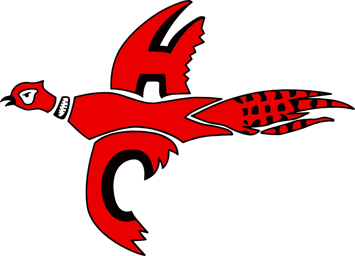 2022 Hill City Ringnecks Volleyball Team Kansas High School Athletics