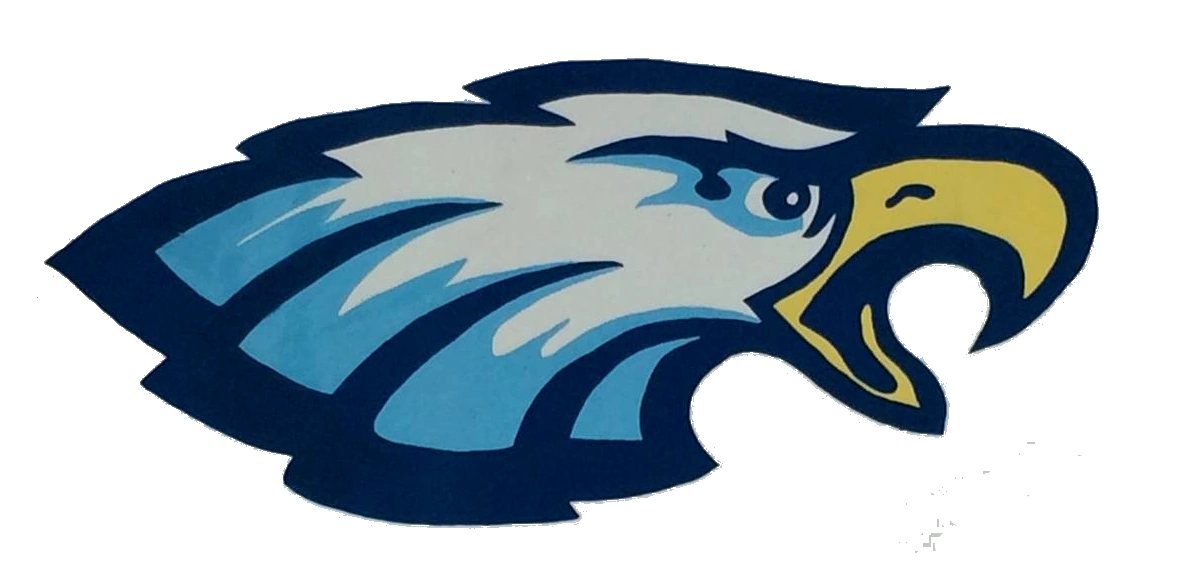 2023 Ness City Eagles Volleyball Team Kansas High School Athletics Wiki Fandom