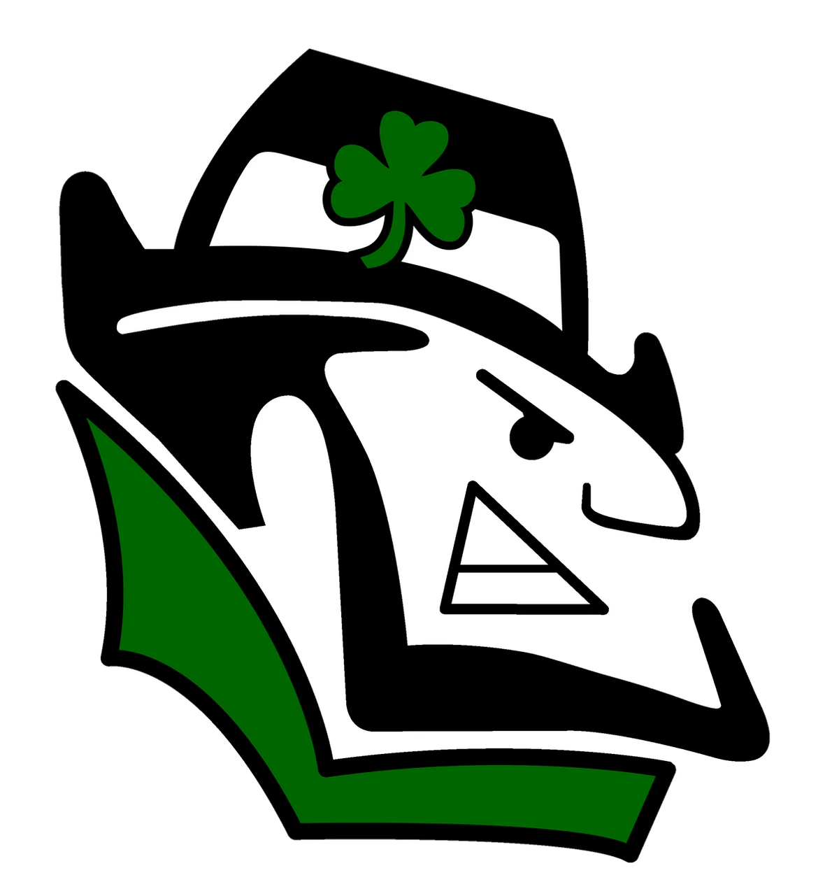 2022 Chapman Fighting Irish Football Team Kansas High School