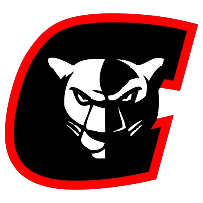 2023 Concordia Panthers Softball Team Kansas High School Athletics Wiki Fandom