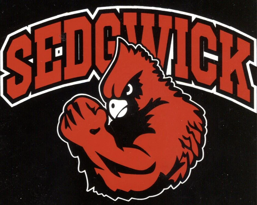 2020 Sedgwick Cardinals Football Team Kansas High School Athletics