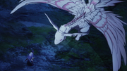 Light Wyrm Anime