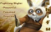Shifu-28.jpeg