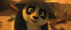 Panda 1.jpg