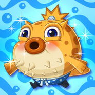 Animal Blowfish