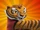Avatar Tigress1.png