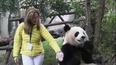 Kung Fu Panda 2 (2011) - Featurette Animating Pandas