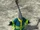 Ping