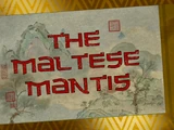 The Maltese Mantis