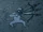 Plucky Spider Monkey