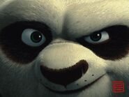 Kung-fu-panda-po-closeup-wallpaper