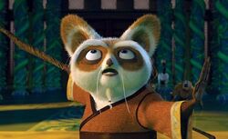 Meester Shifu.jpg