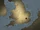 England