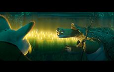 Master oogway desktop wallpaper png-other.jpg