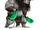 Kai-1.png
