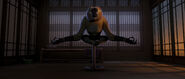 Monkey meditating in his room in Kung Fu Panda