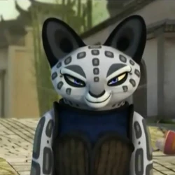 Leopard Kung Fu Panda