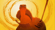 Oogway sotff