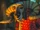 Soothsayer1.jpg