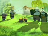 Panda village (Kung Fu Panda 2)