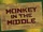Monkey in the Middle