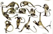 1024px-MonkeyConcepts2.jpg
