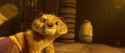 Cub tai lung