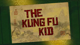 The-kung-fu-kid.jpg