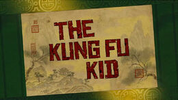 The-kung-fu-kid