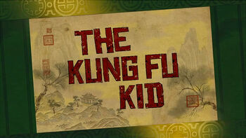 The-kung-fu-kid