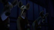 "WOAH! Drama!"