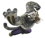 Tai Lung's attire