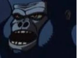 Gorilla Boss