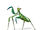 Mantis