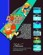 Super Dodge Ball arcade flyer.