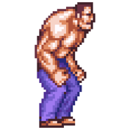 Honda's sprite in River City Renegade