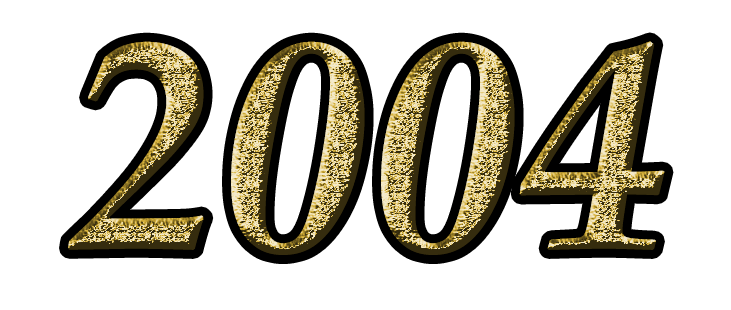 Как выглядит 2004 год