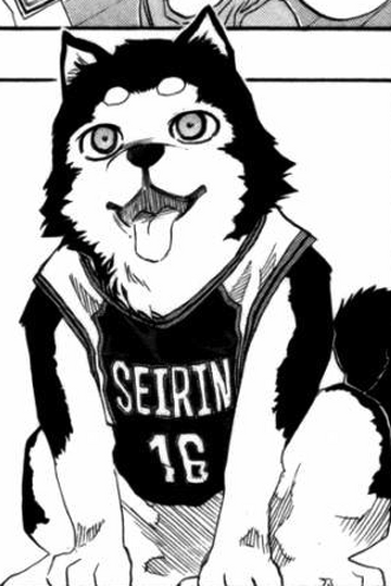 dogです Tetsuya 2 | Kuroko no Basuke Wiki | Fandom