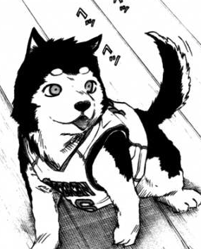 Tetsuya 2 Wiki Kuroko No Basuke Fandom Завершен, есть новый сезон режиссёр: tetsuya 2 wiki kuroko no basuke fandom