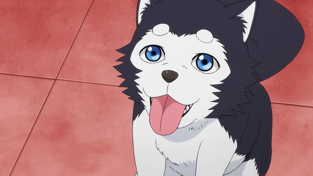 Kawaii Anime Dog