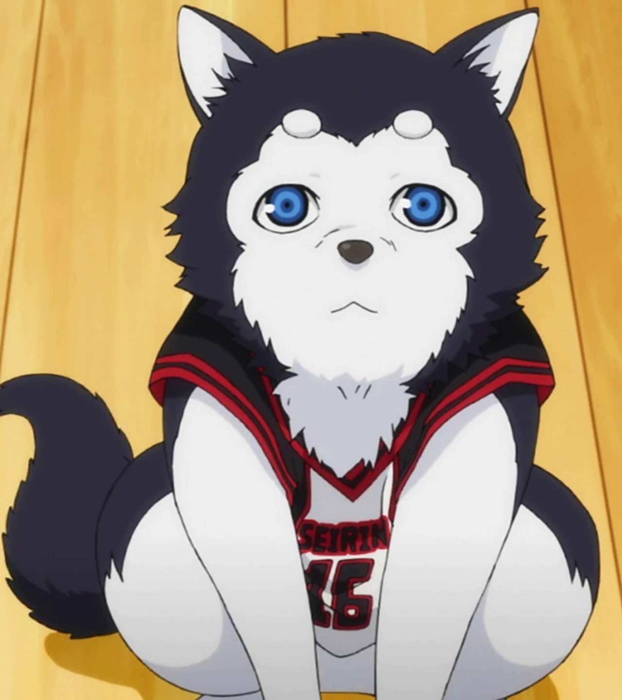 KUROKOです。 Tetsuya 2 | Wiki Kuroko no Basuke | Fandom