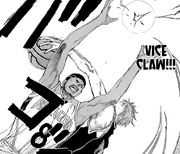Vice Claw