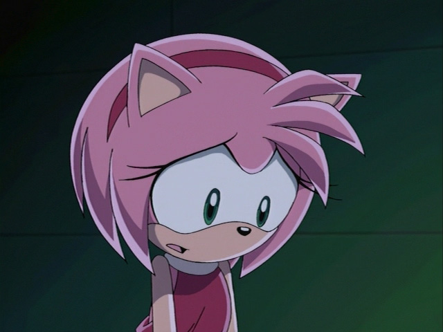 Amy Rose is a female anthromorphic hedgehog from the Ro-Zone with pink fur,...