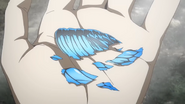 The wing Alois ripped from the butterfly