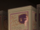 201 Finding the New Moon Drop.png