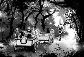 The Werewolves' Forest