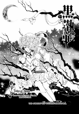 Chapter 28
