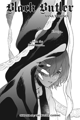 Chapter 164